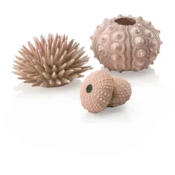 biOrb Seeigel Set natural (48366)
