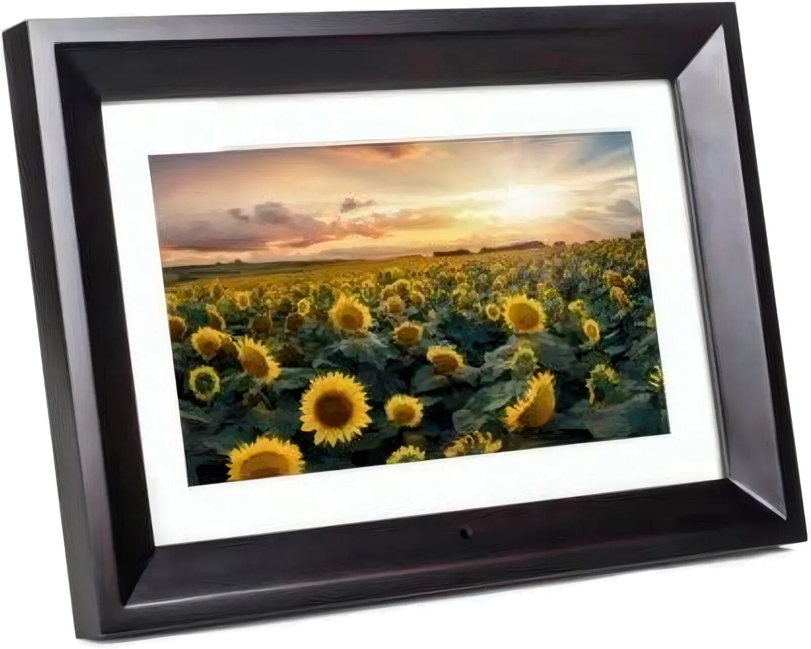 Kodak Rdpf1020B Black / Marco Digital 10"
