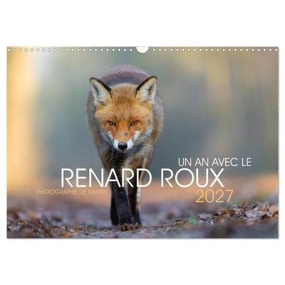 Un an avec le renard roux (Calendrier mural 2027 DIN A3 vertical), CALVENDO calendrier mensuel