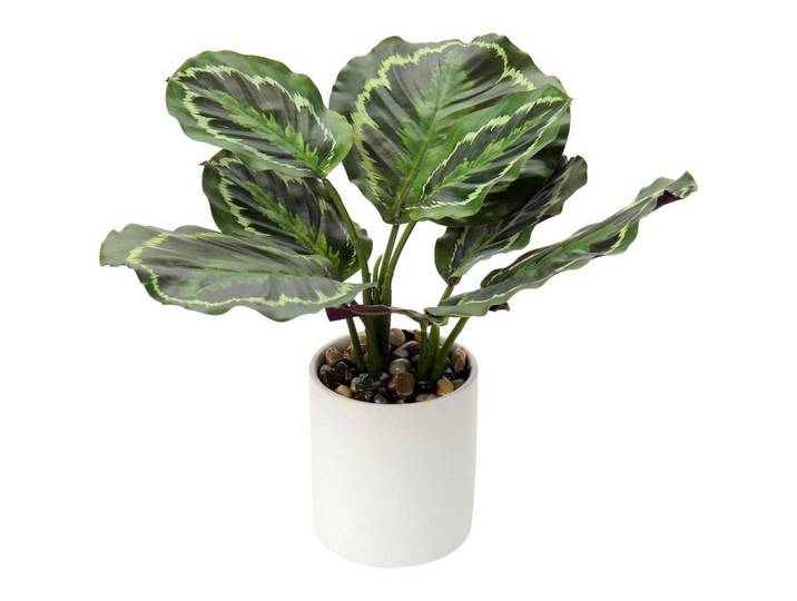 Kunstpflanze Monstera im Topf 31 cm, Grün, Keramik, 31 cm, Dekoration, Blumen & Blumentöpfe, Kunstpflanzen