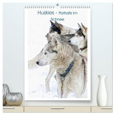 Huskies - Portraits im Schnee (hochwertiger Premium Wandkalender 2027 DIN A2 hoch), Kunstdruck in Hochglanz