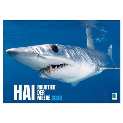 Hai: Raubtier der Meere (Wandkalender 2026 DIN A2 quer), CALVENDO Monatskalender