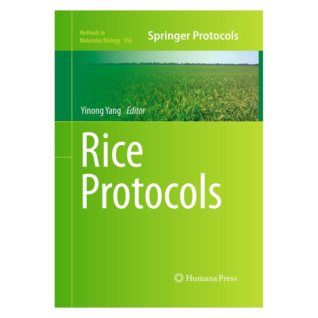 Springer Rice Protocols (Englisch, Softcover, Yinong Yang) (55964666)