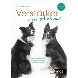 Verstärker verstehen, Ratgeber von Viviane Theby