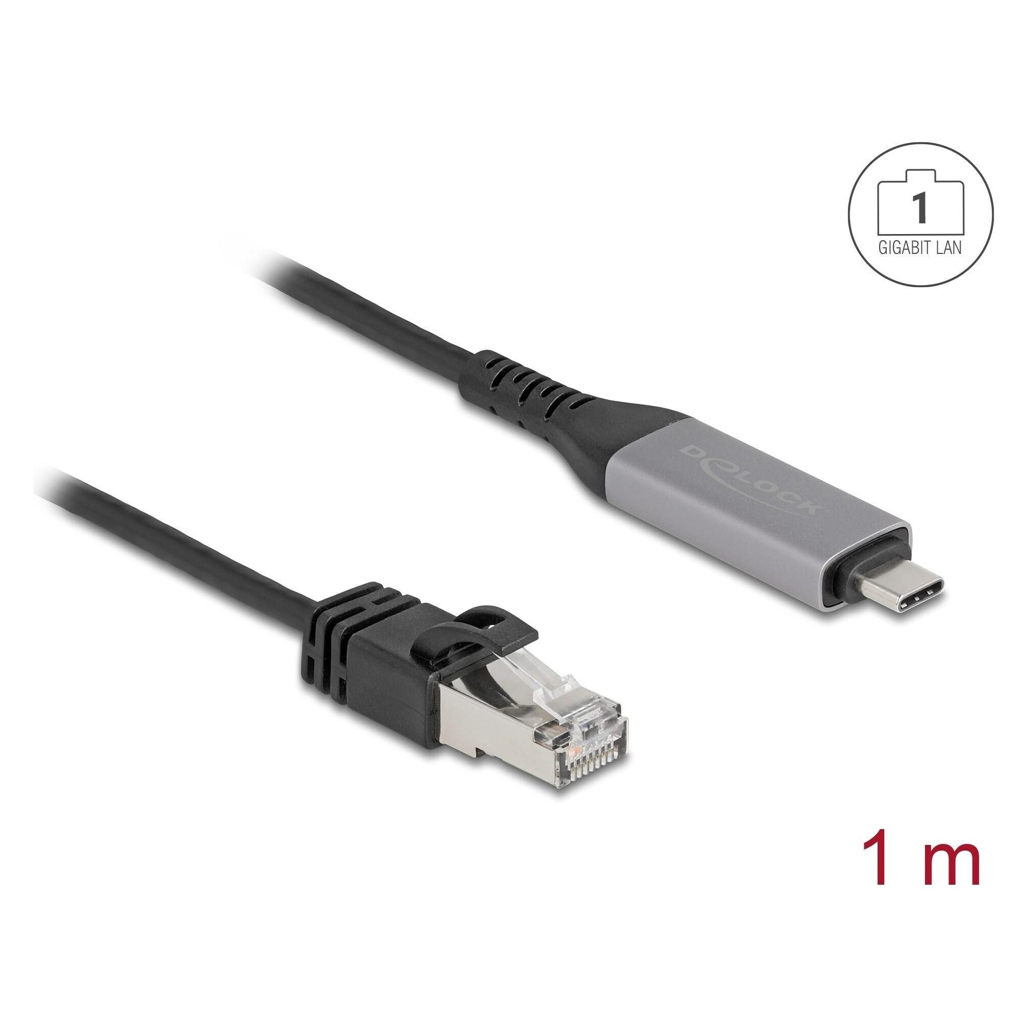 Delock USB LAN Kabel USB Type-C zu RJ45 Gigabit Ethernet 1 m (CAT6, 1 m) (60759)