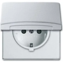 Busch-Jaeger Schuko-Steckdoseneinsatz 20 EUGKB-33-101 2CKA002064A0293