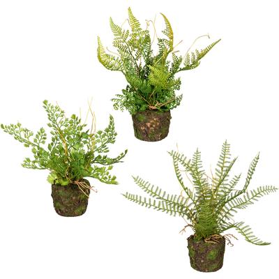 Künstliche Zimmerpflanze CREATIV GREEN "Set aus Farnpflanzen auf Wurzelballen", grün, H:22cm, Kunststoff, Kunstpflanzen, Künstliche Zimmerpflanze, 3er Set