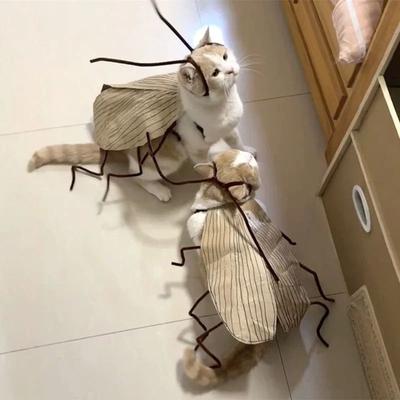 Uplift Essentials Cat Cockroach Costume DIY Material Pack & Breathable Pet Costume Cat Cockroach Costume DIY Material Pack & Breathable Pet Costume