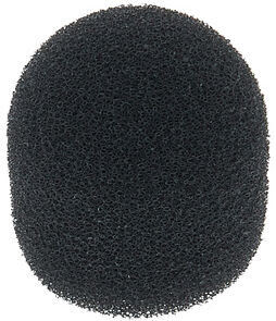 Beyerdynamic WS10