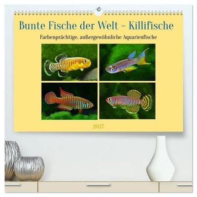 Bunte Fische der Welt - Killifische (hochwertiger Premium Wandkalender 2027 DIN A2 quer), Kunstdruck in Hochglanz