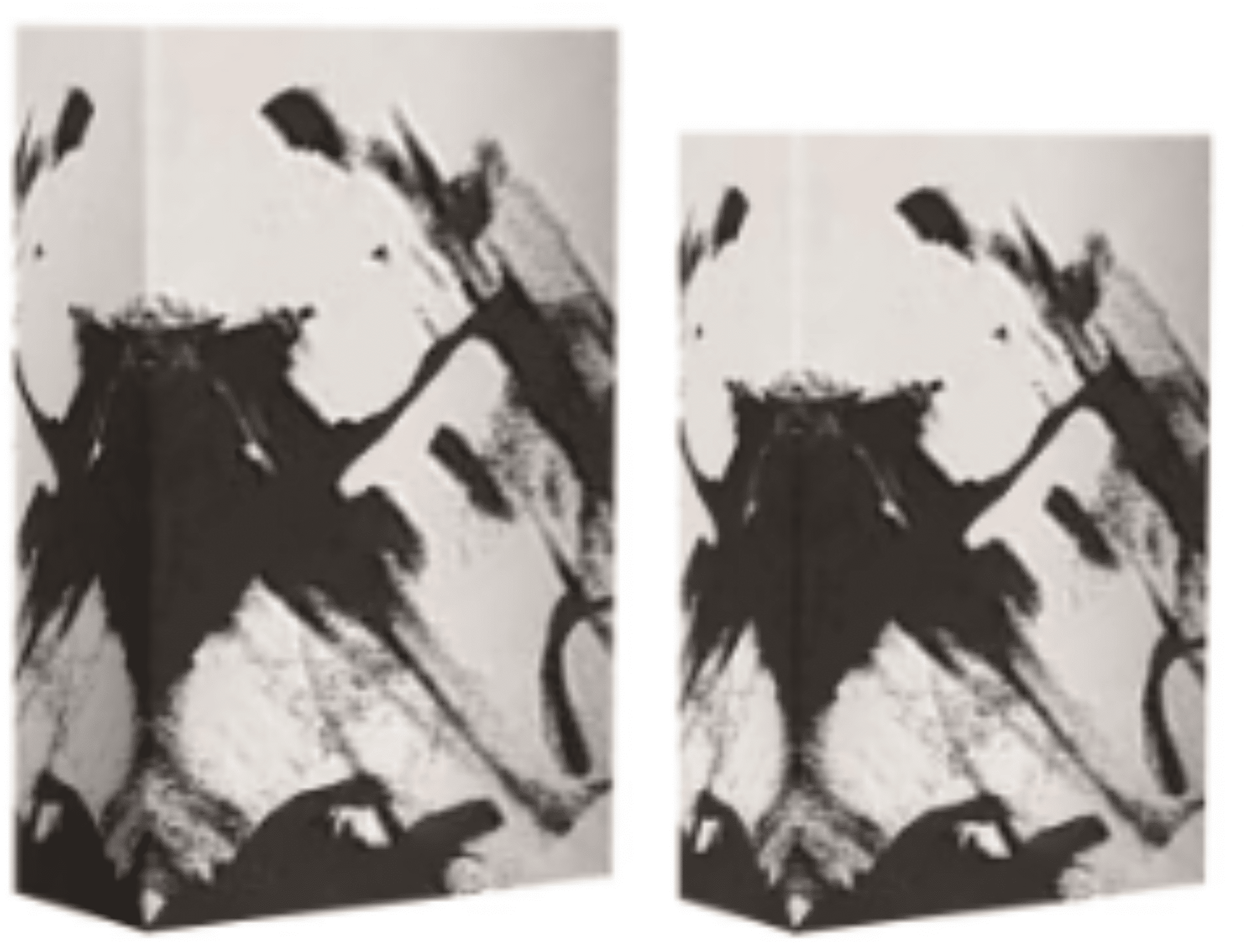 Isadora Abstract Monochrome Book Boxes - Set of 2