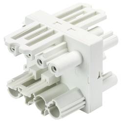 Wieland Electric 92.040.6953.0 Verteiler