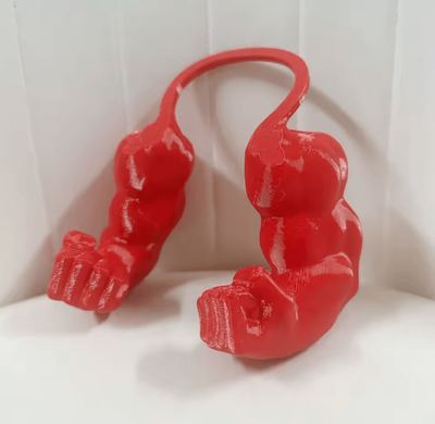 Inspire Curations BuffPaws Funny Cat Muscle Arms Costume Hanging Pet Cosplay Accessory For Cats & Small Dogs red
