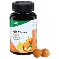 MULTIVITAMIN GUMS 60 St