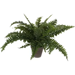 Mica Decorations, Kunstpflanzen, Boston Farn Kunstpflanze im Blumentopf Stan - H42 x Ø50 cm - Grün (42 cm)