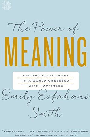 Smith, Emily Esfahani - The Power of Meaning: Finding Fulfillment in a World Obsessed with Happiness - Preis vom 09.10.2026 07:28:09 h