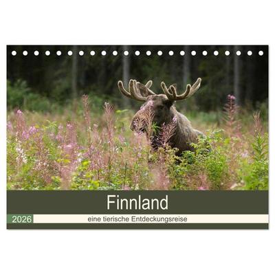 Finnland: eine tierische Entdeckungsreise (Tischkalender 2026 DIN A5 quer), CALVENDO Monatskalender