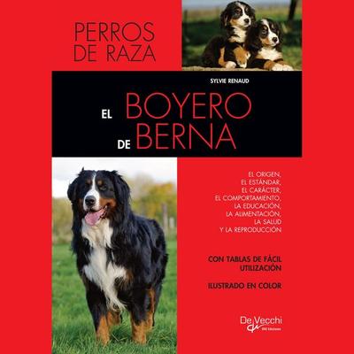 El boyero de Berna - Sylvie Renaud, Audio, 9798894058054