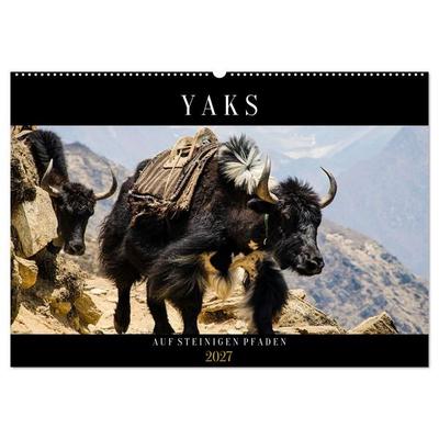 Yaks - auf steinigen Pfaden (Wandkalender 2027 DIN A2 quer), CALVENDO Monatskalender
