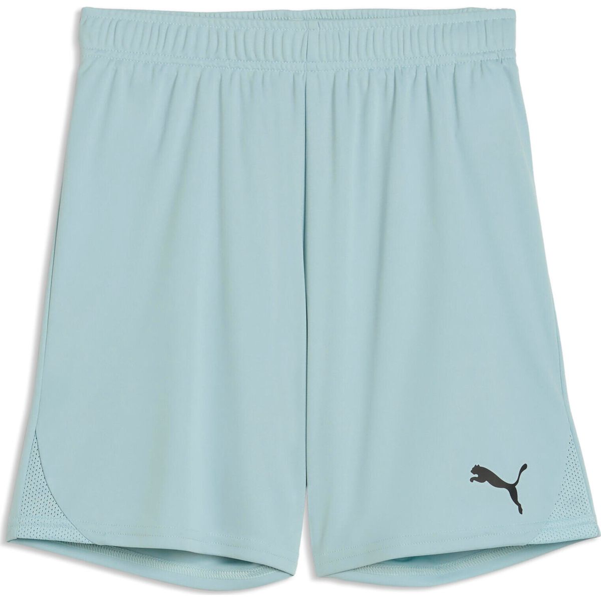 Puma Teamgoal Shorts Jr modern mint-puma black (41) 152 705753-41-152