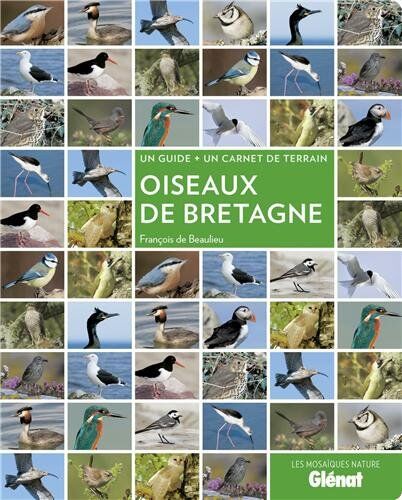 Beaulieu, François de - Oiseaux de Bretagne - Preis vom 01.10.2026 17:08:56 h