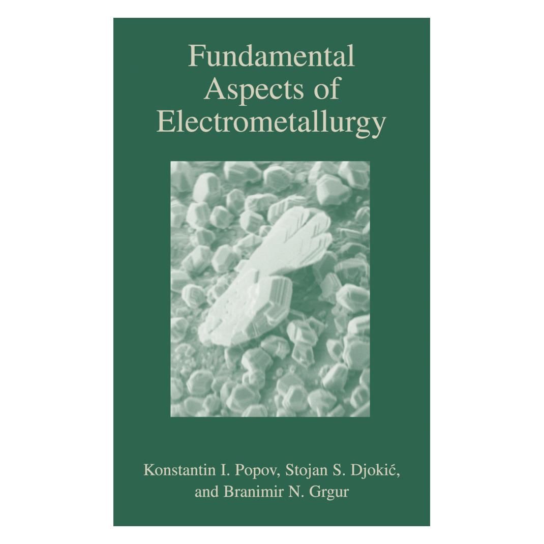 Springer Fundamental Aspects of Electrometallurgy (Englisch, Softcover, Branamir Grgur, Konstantin Popov, Stojan S. Djokic) (55532371)