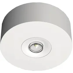 RP Technik, Deckenleuchte, EARL423SC