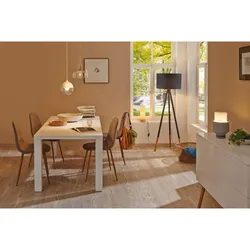PAULMANN LED Fil AGL 1521lm E27 2700K 12,5W klar dim 230V