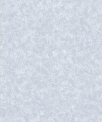 Advantage Aged Patina Sterling Distressed Wallpaper