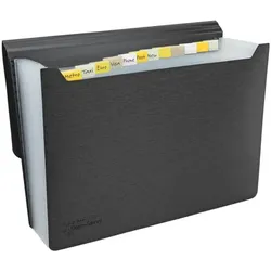 RAPESCO Germ-Savvy Fächermappe »Germ-Savvy™ Antibakteriell« A4 transparent, 33x24x24 cm