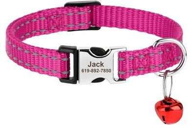 Uplifted Finds Safe Track Customized ID Module rose