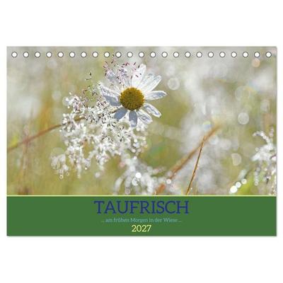 Taufrisch... am frühen Morgen in der Wiese (Tischkalender 2027 DIN A5 quer), CALVENDO Monatskalender
