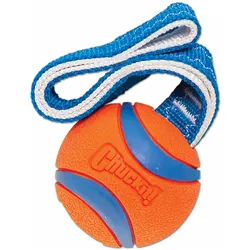 Chuckit! Ultra Tug (Kauspielzeug Hund), Hundespielzeug