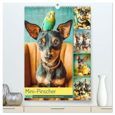 Mini-Pinscher. Kleine Hunde in schönen Momenten (hochwertiger Premium Wandkalender 2027 DIN A2 hoch), Kunstdruck in Hochglanz