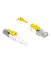 Delock RJ45 Kabel Cat 6A Secure 1.0m St/St Netzwerk SFTP 1 m RJ-45 (85331)