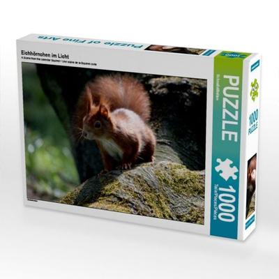 CALVENDO Puzzle Eichhörnchen im Licht | 1000 Teile Lege-Größe 64x48cm Foto-Puzzle für glückliche Stunden