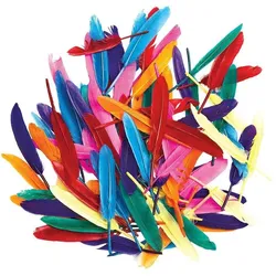Colorations, Naturmaterialien, Färbungen – Farbige Entenfedern, 28,5 Gramm