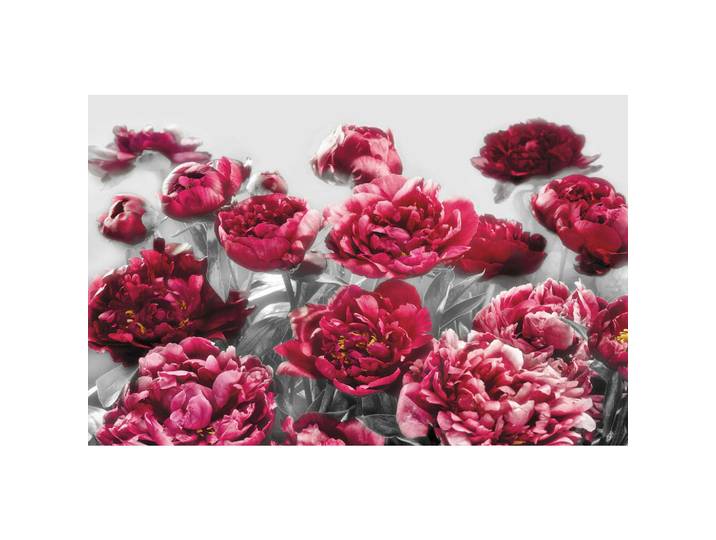 Komar Vliestapete, Grau, Pink, Blume, 400x260 cm, Fsc, Tapeten & Wandverkleidungen, Vliestapeten
