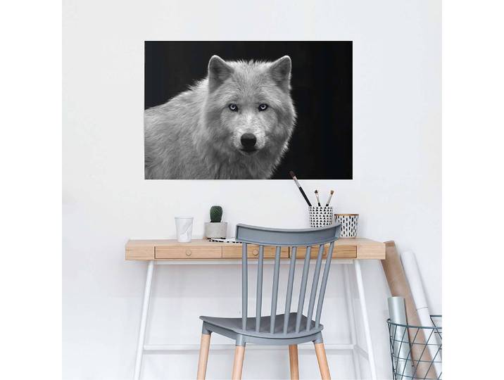 Poster Loup blanc Noir et Blanc Papier Noir 61 x 92cm