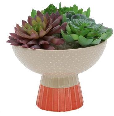 Flora Bunda Artificial Plant Succulent Mix in Two Tone Bowl Ceramic Planter - ONE-SIZE
