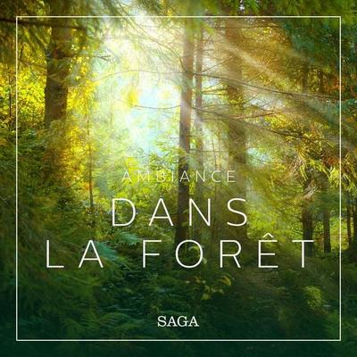 Ambiance – Dans la forêt - Rasmus Broe, Audio, 9788726258493
