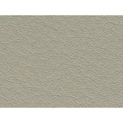  Kunstleder Beige 