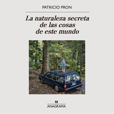 La naturaleza secreta de las cosas de este mundo - Patricio Pron, Audio, 9788433921680