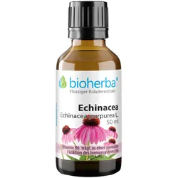 Echinacea Echinacea purpurea L. Tropfen Tinktur 50 ml