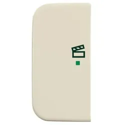 Busch-Jaeger Wippe 1-fach, Symbol Licht 6233-21-212