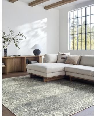 Galey Alix x Livabliss Collins Avenue VII Vintage Medallion Area Rug
