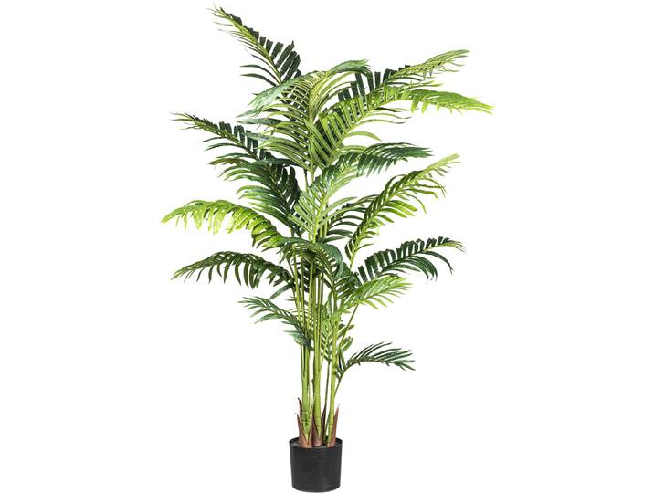 Kunstpalme CREATIV GREEN Kentiapalme , grün, H:160cm, Kunstpflanzen, Kunstpalme, mit detailgetreuen Wedeln