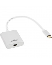 InLine USB Display Konverter USB-C Stecker zu Mini DisplayPort Buchse DP Alt Mode 4K2K silber 0.2m Silber (64105S)