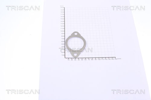 Triscan Dichtung 8813 99126