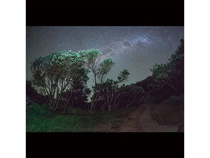 Esben And The Witch - Older Terrors